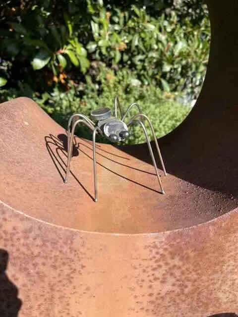 Spider – Small